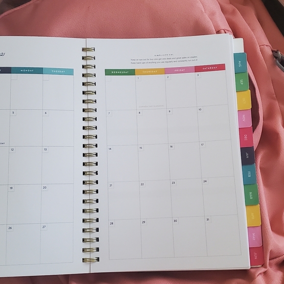 The Simplified Planner, Pineapple design - Picture 2 of 3